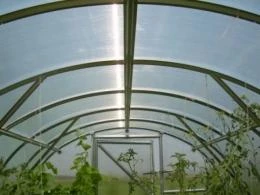 Meistro Kodas Arkinis šiltnamis KLASIKA 24 m2/4 mm danga (3x8 m)