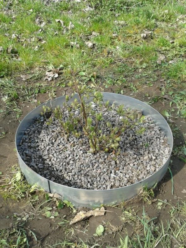 KLASIKA Metalinis žiedas/užtvarėlė dažytas