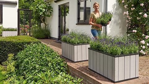 Keter Vazonas Sequoia Duotech Medium Planter