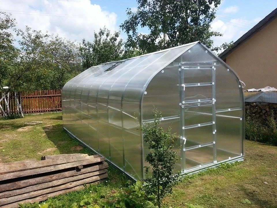 Meistro Kodas Šiltnamis STANDART*KLASIKA 20 m2/4mm. danga(2,5x8m), 4 stoglangiai
