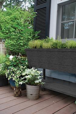 Vazonas Keter URBAN BLOOMER XL