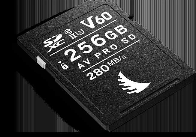 Atminties kortelė Angelbird AV PRO SD MK2 256GB V60