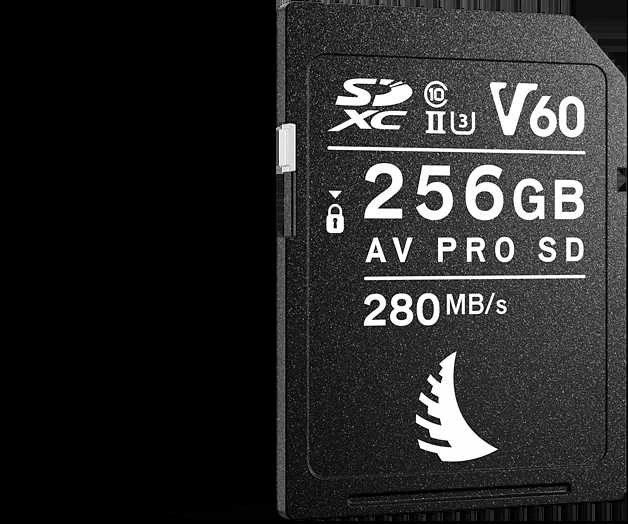 Atminties kortelė Angelbird AV PRO SD MK2 256GB V60