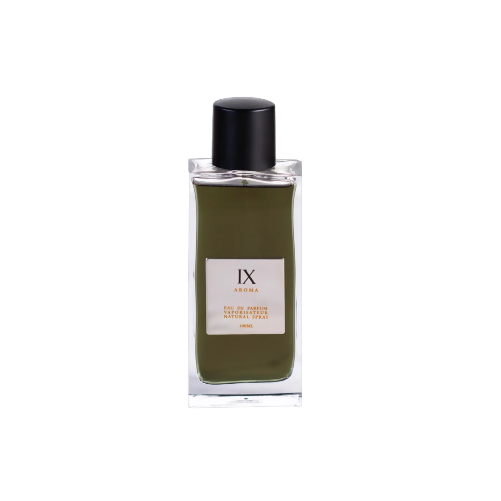 Aurora Scents Aurora Aroma IX EDP parfumuotas vanduo vyrams, 100 ml