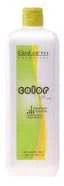 Salerm Cosmetics Color Soft Developer Emulsion Oksidantas 1000ml