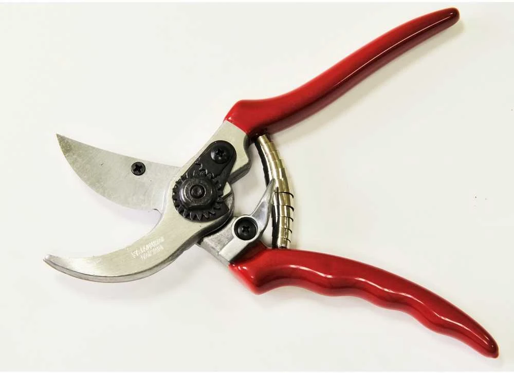 Sekatorius chromu padengta geležte 210mm SAMURAI KS-4