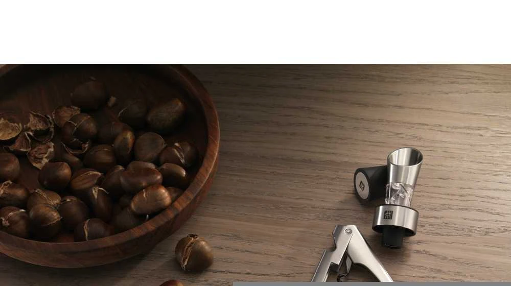 ZWILLING Wine Aerator-Pourer-Stopper Butelis Nerūdijančiojo plieno
