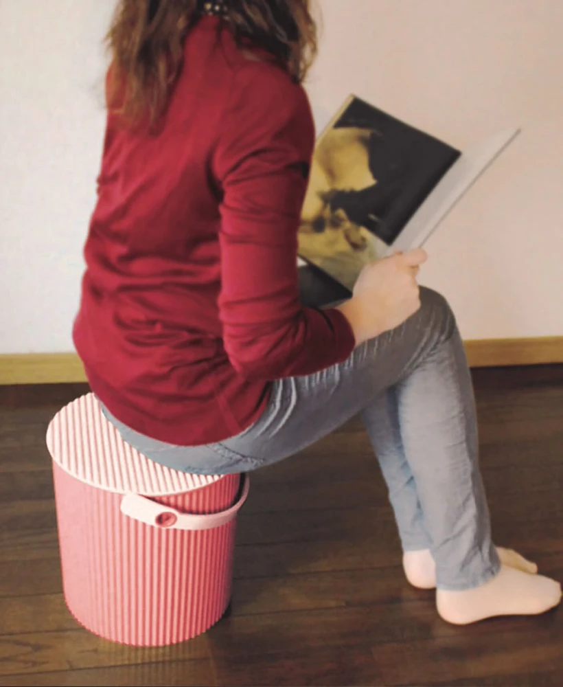HACHIMAN FRAIRCHAIR Wiadro - 4 ltr, rožinė