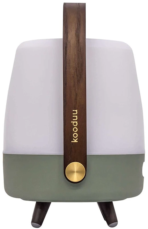 Carruzzo Kooduu Lite-up PLAY Mini Nešiojamasis monogarsiakalbis Žalia, Balta, Medis 8 W