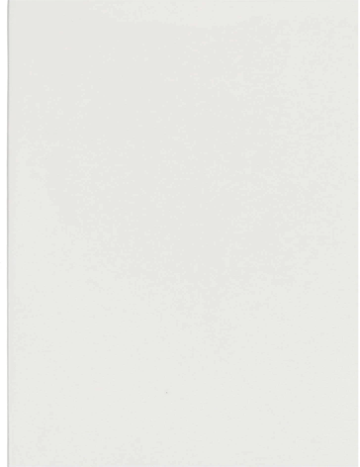 La Porcellana Bianca Baltas PORCELIANAS BALTASIS GURMANĖS BUITINIS Rinkinys 2 tac do serwowania 35 x 23 cm