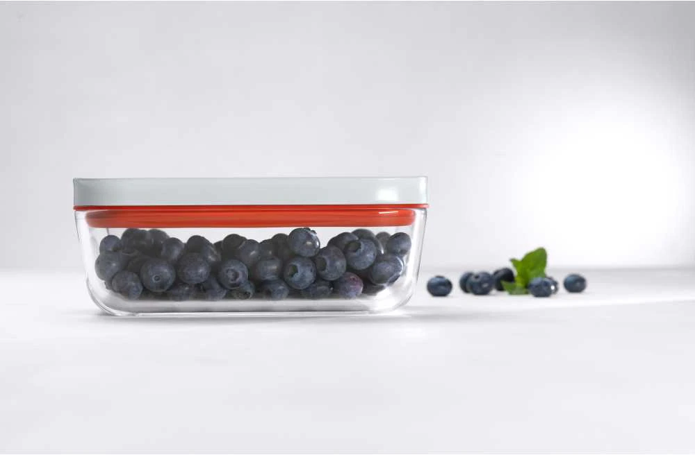 Maisto Indas - Zwilling Fresh & Save 900 Ml