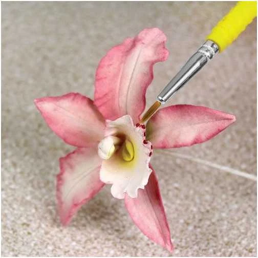 PME konditerijos dažymo teptukai (1-2 mm)