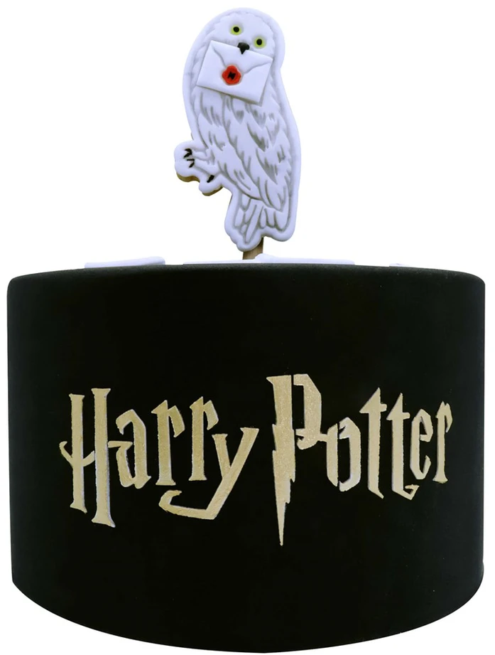 PME Szablon do ciasta Harry Potter