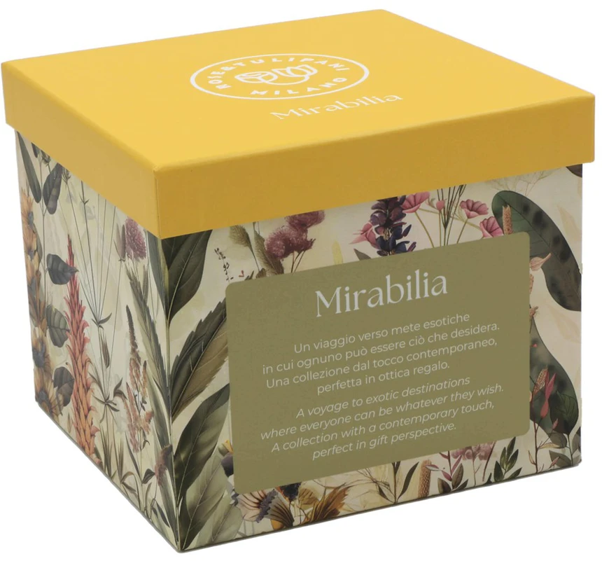 ROSE&TULIPANI MIRABILIA Arbata4One su lėkštute 300 ml, geltona