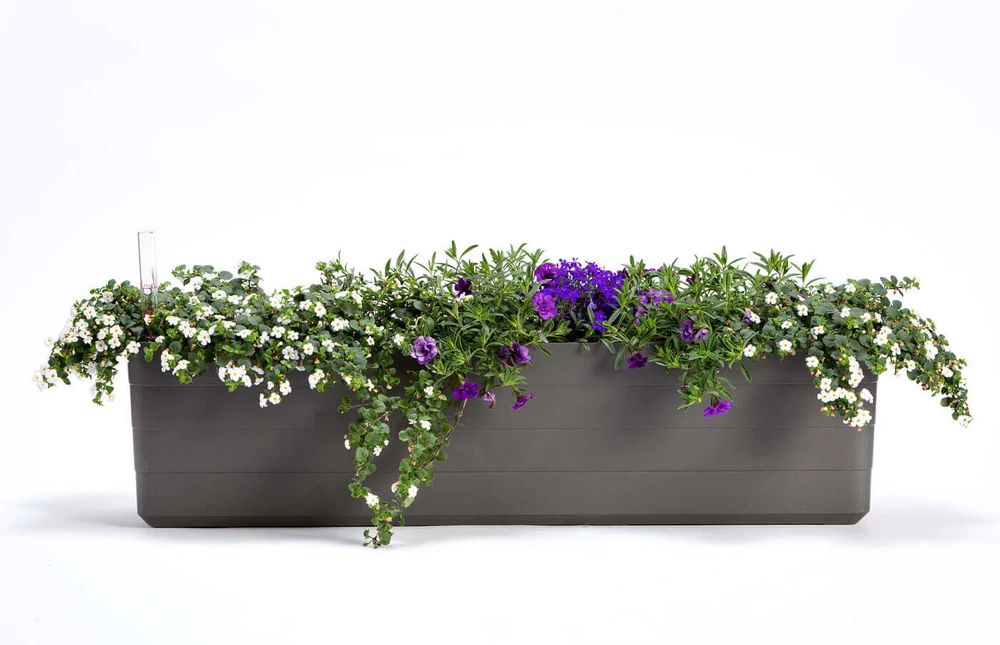 URBALIVE BERBERIS stačiakampis savaime drėkinamasis vazonas, 80 x 20 cm, pilkai rudas