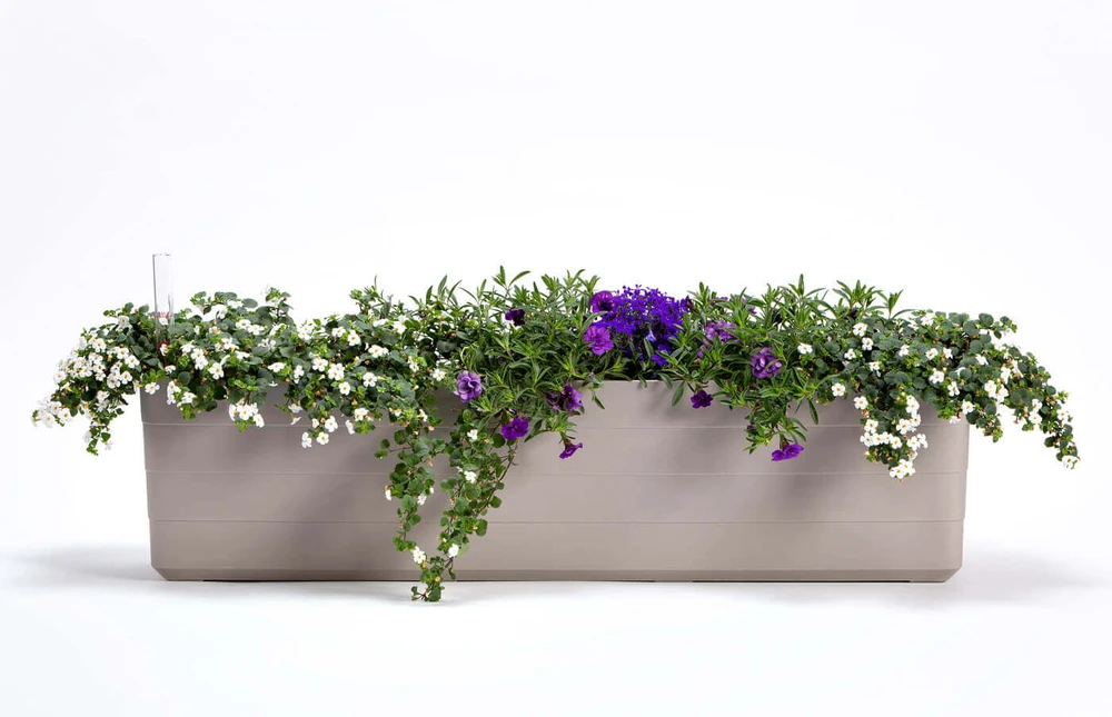 URBALIVE BERBERIS stačiakampis savaime drėkinamasis vazonas, 80 x 20 cm, šviesiai pilkas