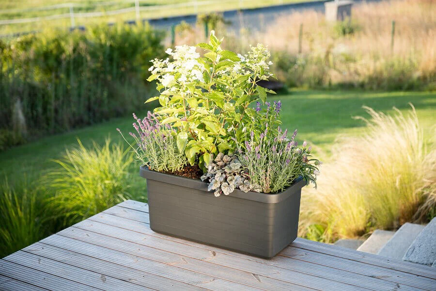 URBALIVE BERBERIS DUO savaime laistomas vazonas 78 x 39 cm, rutulinis
