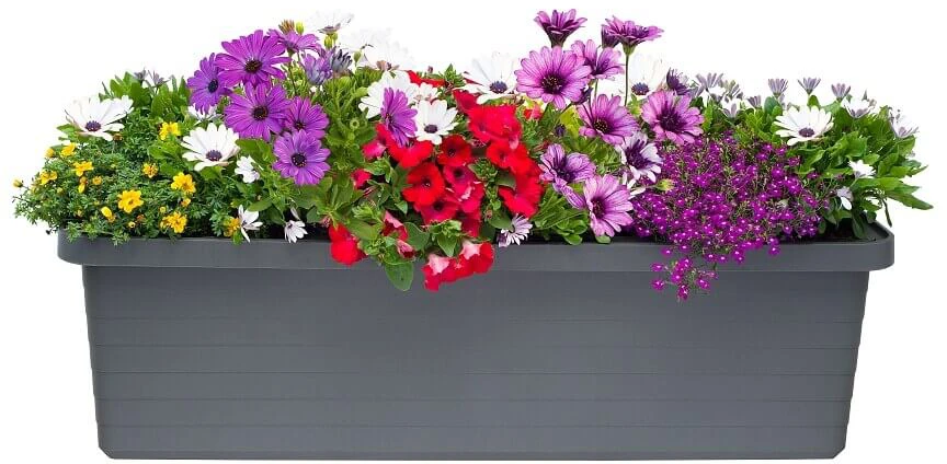 URBALIVE BERBERIS TRIO savaime laistomas vazonas 117 x 39 cm, rutulinis
