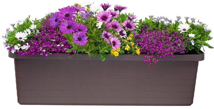 URBALIVE BERBERIS TRIO vazonas su laistymo sistema 117 x 39 cm, rudas