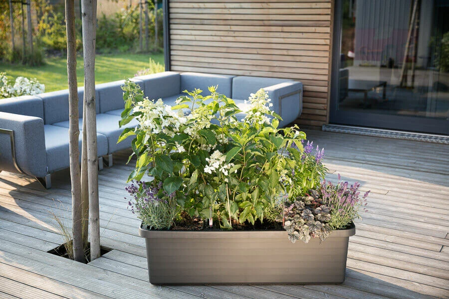 URBALIVE BERBERIS TRIO savaime laistomas vazonas 117 x 39 cm, rutulinis
