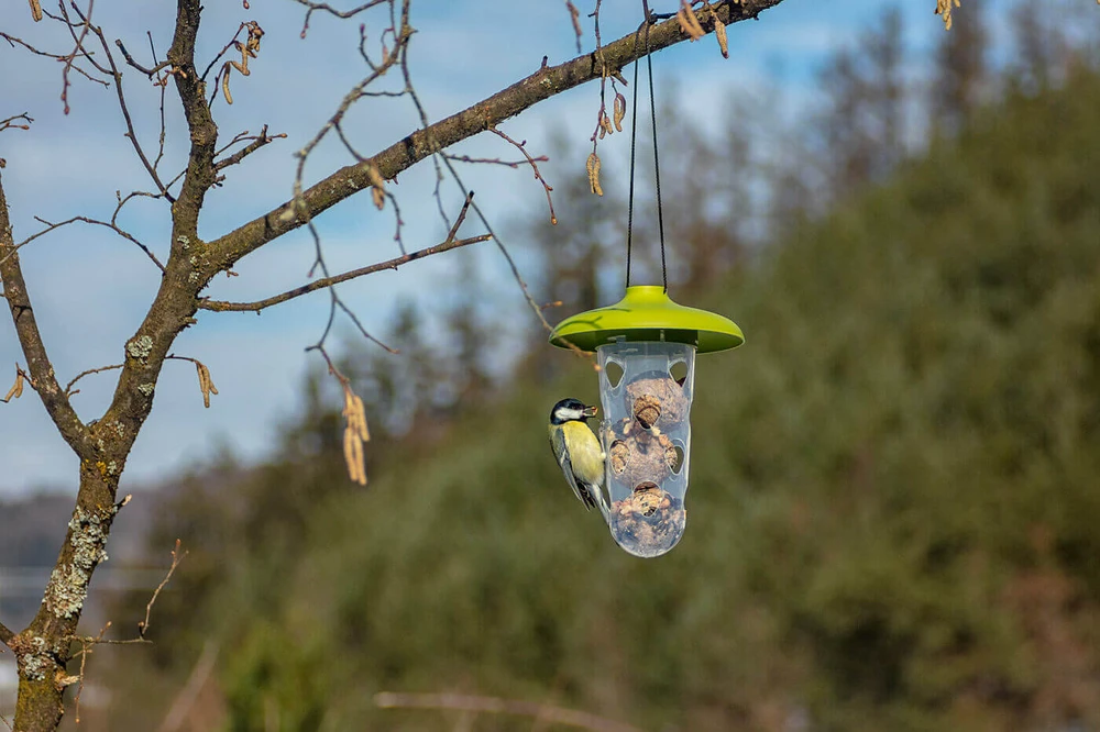 URBALIVE ROBIN 3 viename paukščių lesyklėlė ir girdykla, žalia