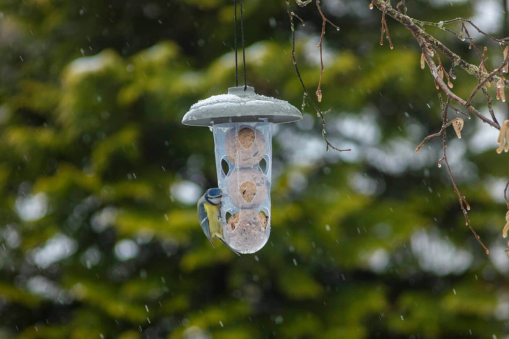 URBALIVE ROBIN 3 viename paukščių lesyklėlė ir girdykla, pilka