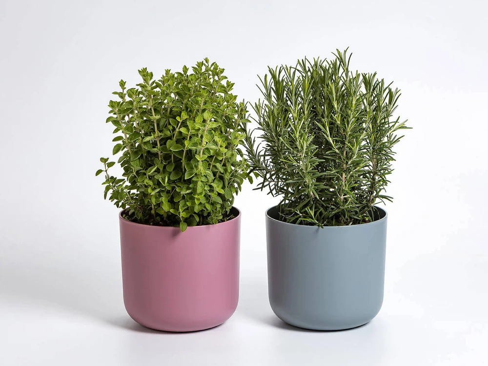 URBALIVE TOLITA savaime drėkinantis apvalus gėlių vazonas su įdėklu 16 cm, pilkas