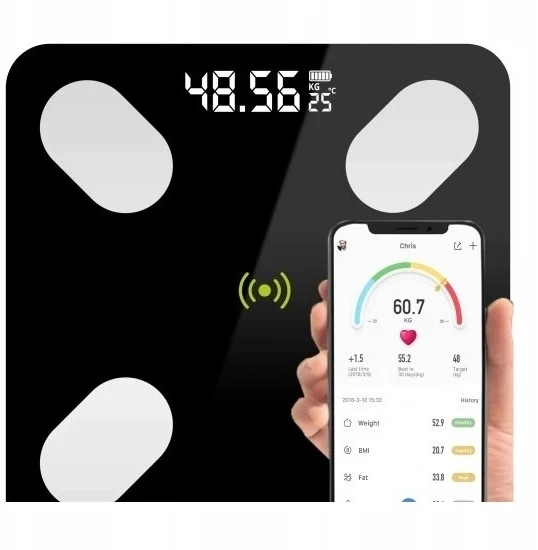 Analitinės svarstyklės Elektromet, 180 kg