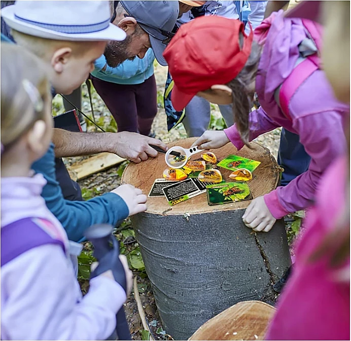 Archeologinių kasinėjimų rinkinys click4TOYS