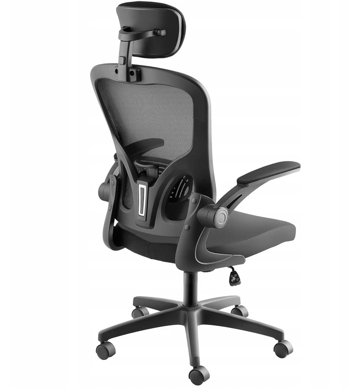 Arges ergonominė biuro kėdė su reguliuojama galvos atrama