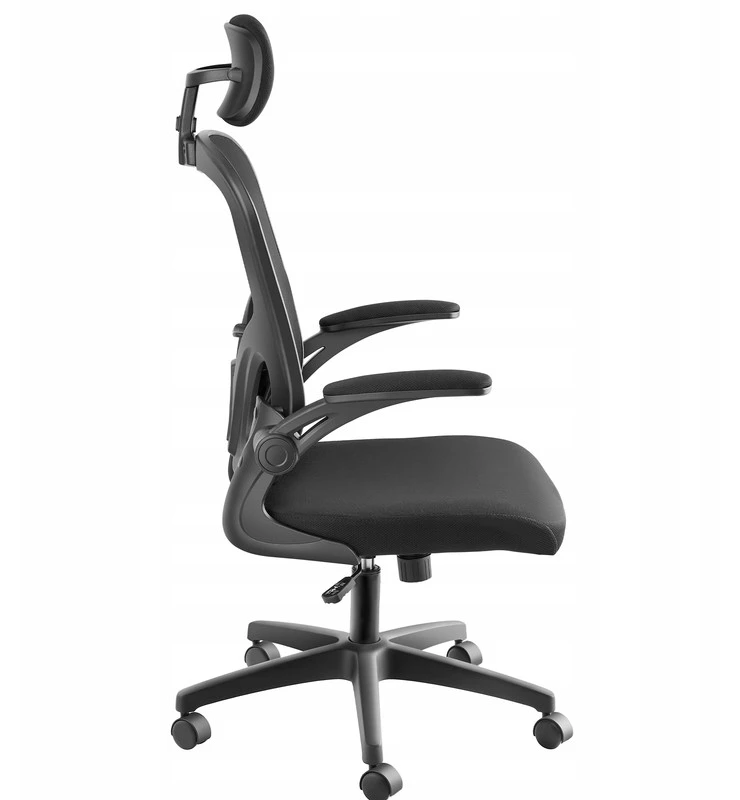 Arges ergonominė biuro kėdė su reguliuojama galvos atrama