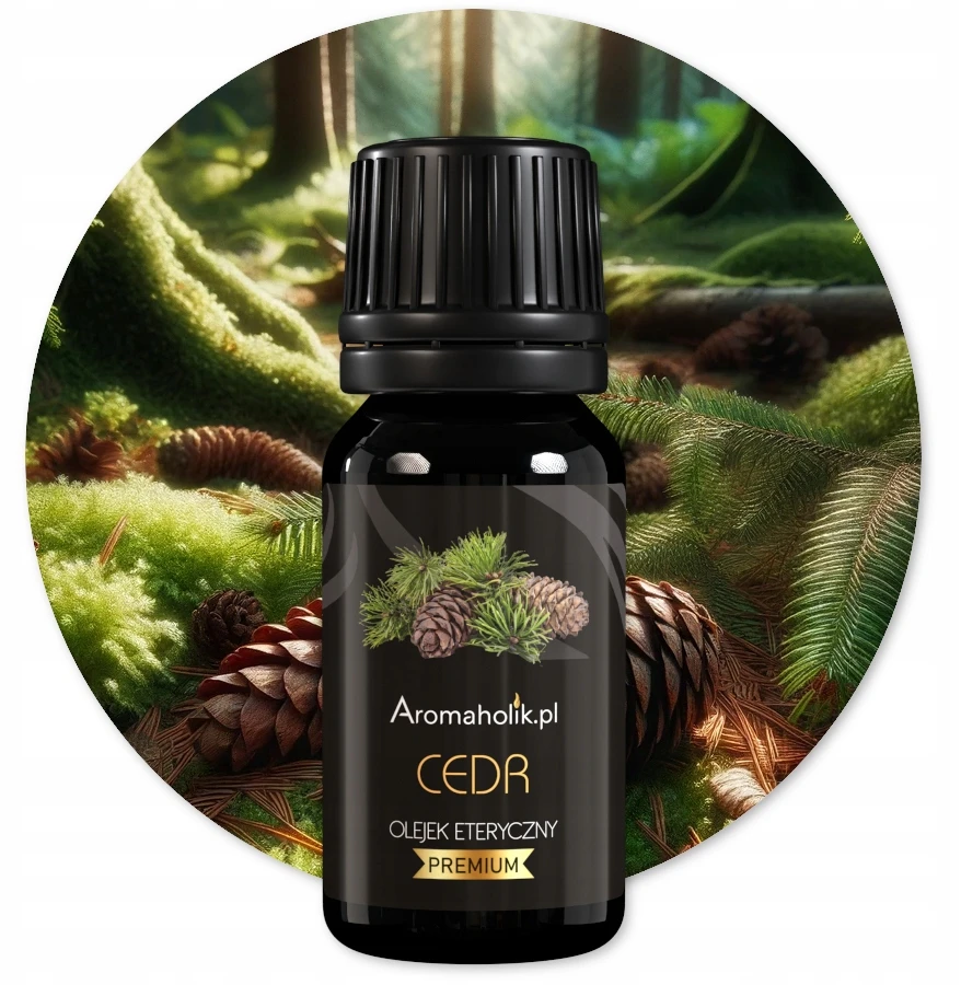 Drėkintuvas Aromaterapijos rinkinys Aromaholik, žiemos