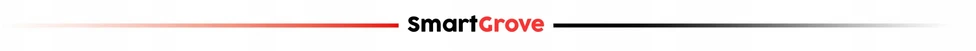 Belaidės įkišamosios ausinės SmartGrove