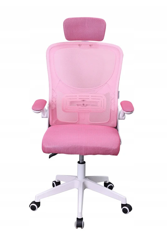 Biuro ir žaidimų kėdė su ergonominiu tinkleliu PRO