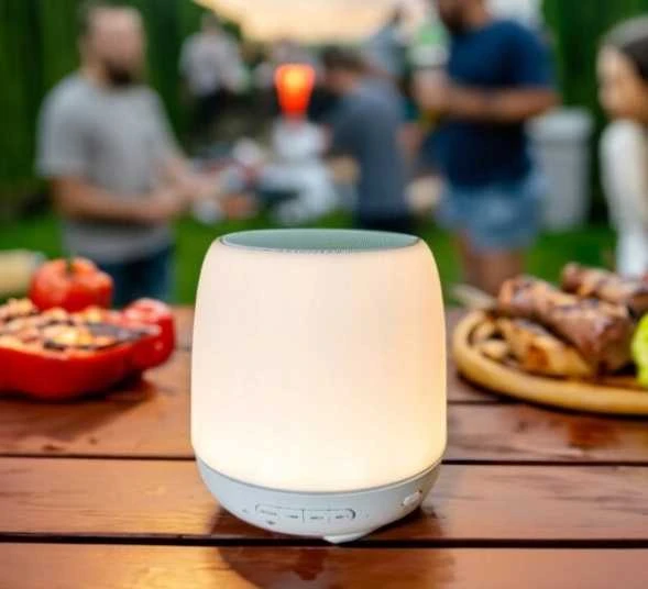 „Bluetooth“ belaidė kolonėlė–LED lempa namams ir stovyklavimui, su apsauga nuo uodų