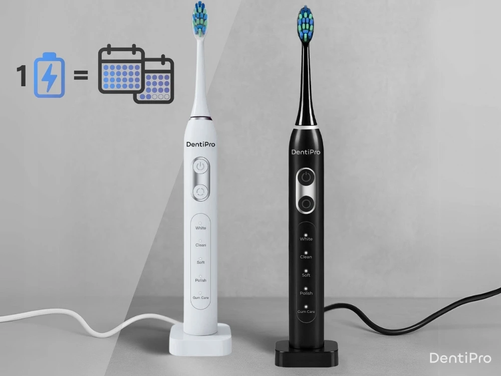 Dantų šepetėlis Dantų šepetėlių rinkinys DentiPro, 2 vnt.