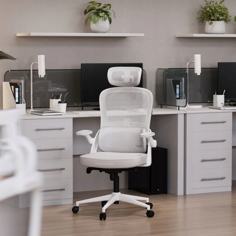 Ergonominė biuro kėdė DIABLO V-Light balta/pilka