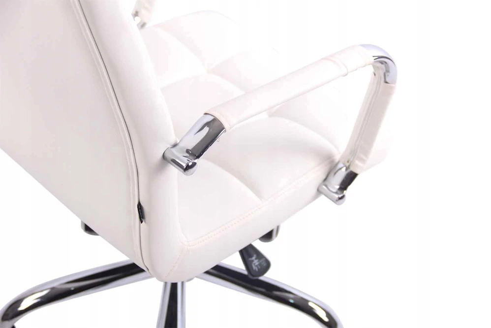 Ergonomiška reguliuojamo aukščio biuro kėdė Deli