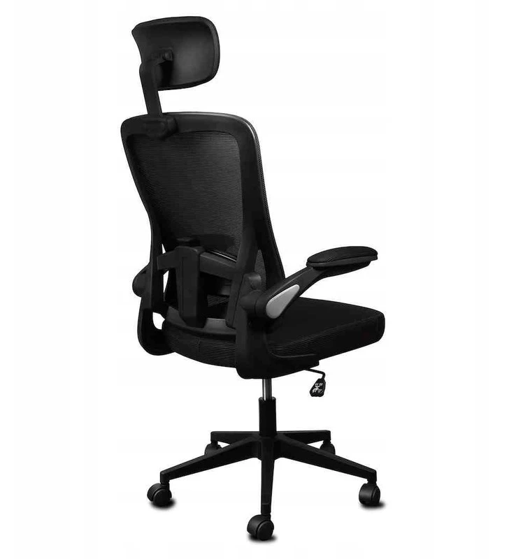 Juoda ergonominė biuro kėdė Ergo Lite LVNSystem