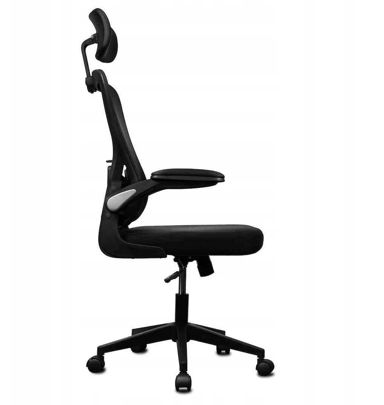 Juoda ergonominė biuro kėdė Ergo Lite LVNSystem
