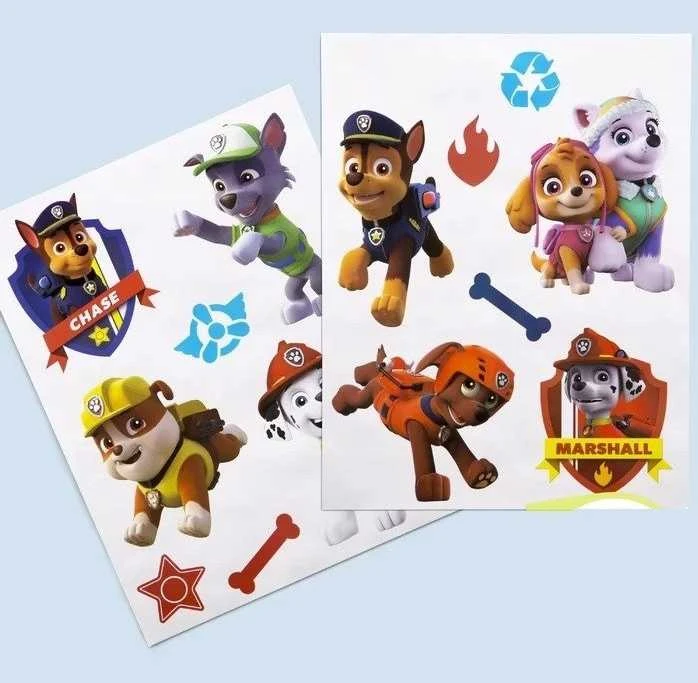 Medinis žaislų ir knygų organizatorius vaikams – „PAW Patrol“ Skye dizainas