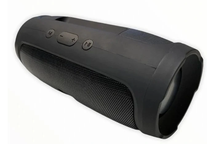 Nešiojamoji „Bluetooth“ kolonėlė Lewer, 40 W