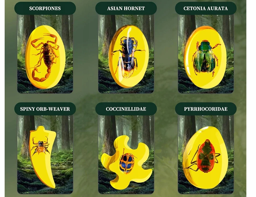 Vabzdžių fosilijų kasinėjimo rinkinys AiM, 6 vnt.