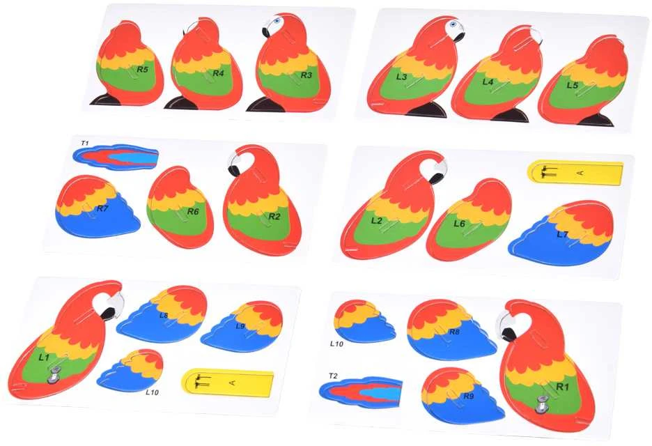 3D kartoninė dėlionė – papūga Ara, 24 d.