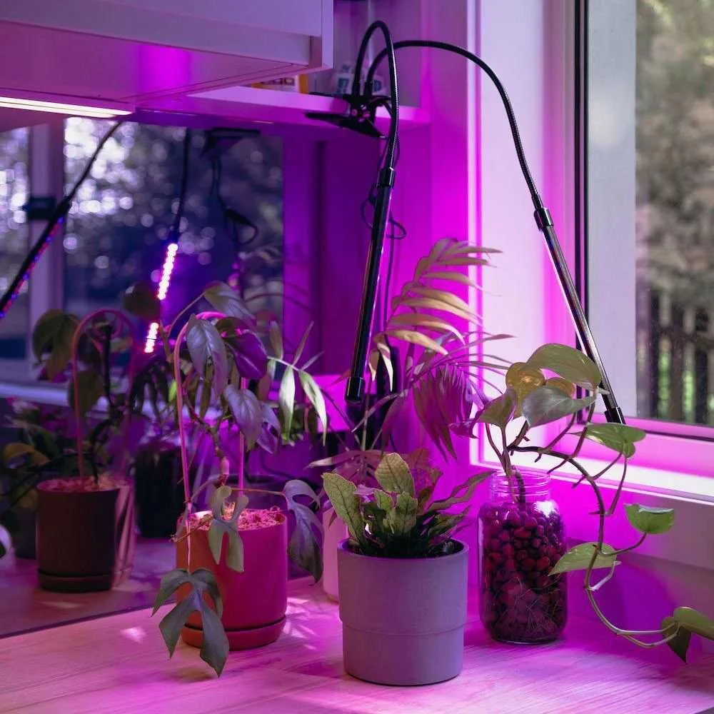 40 LED lempa augalų augimui su laikmačiu