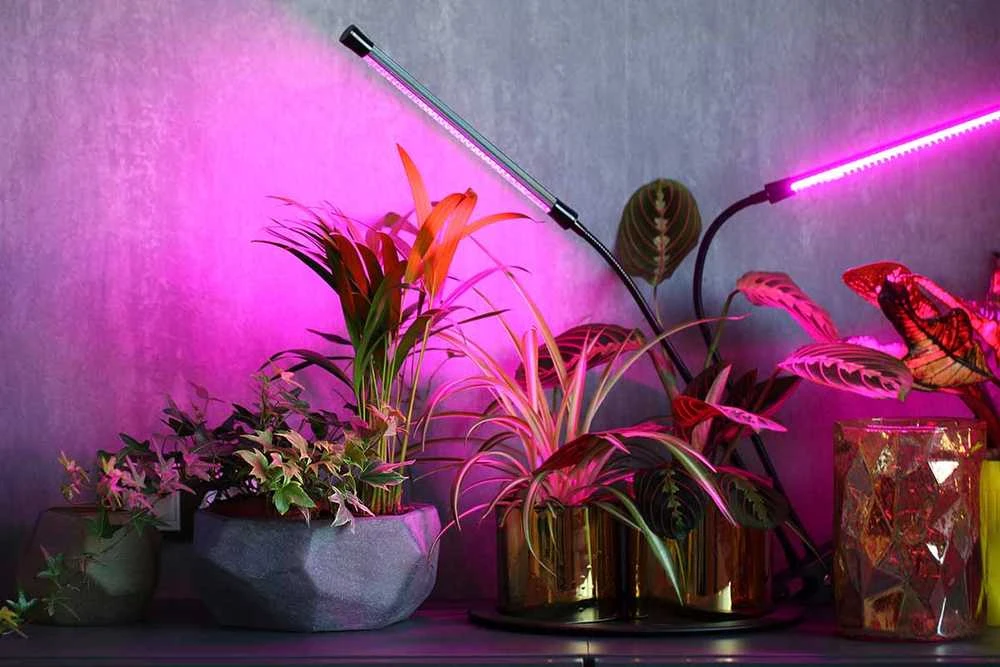 40 LED lempa augalų augimui su laikmačiu