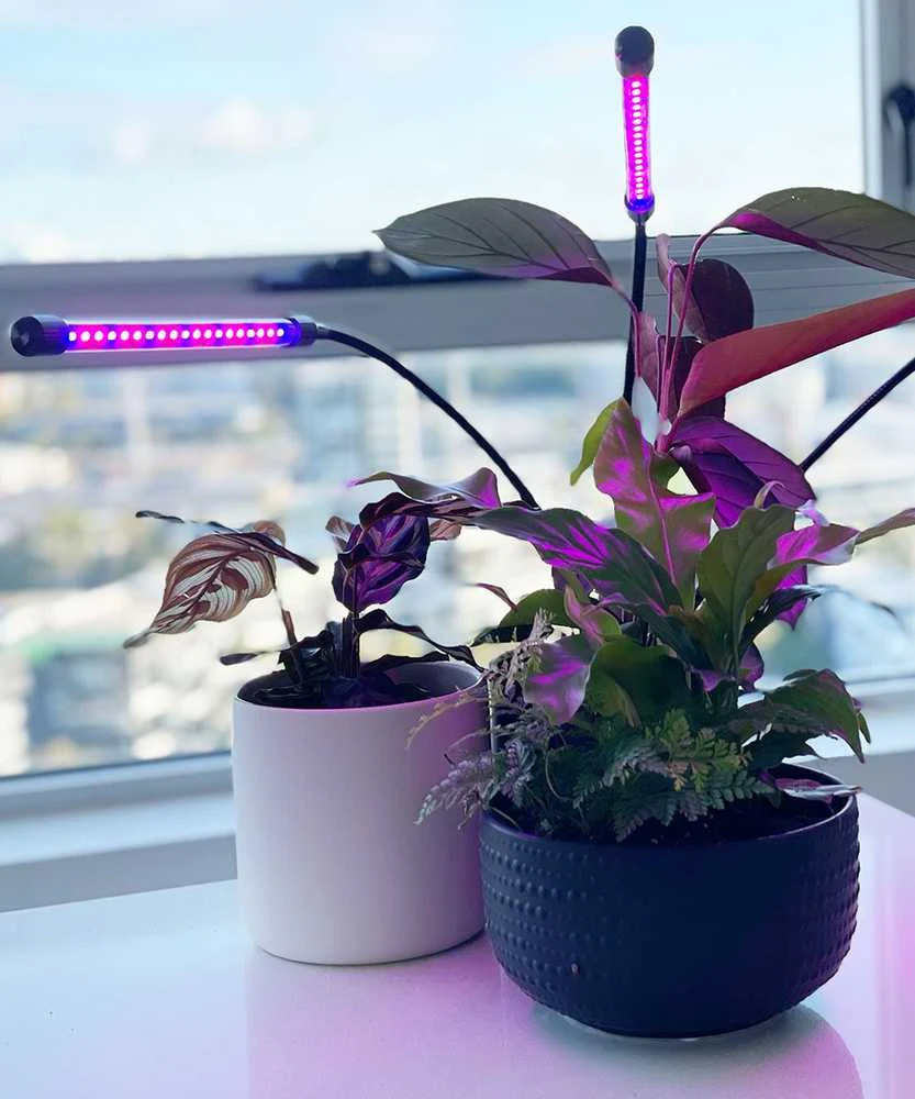 40 LED lempa augalų augimui su laikmačiu