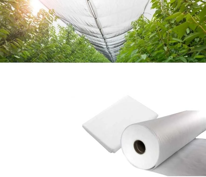 Apsauginė agroplėvelė, 50 g/m2, 1.6x10 m