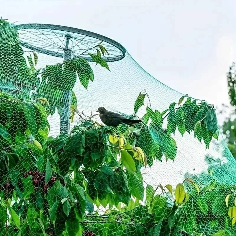 Apsauginis tinklas nuo paukščių, 2 x 10 m