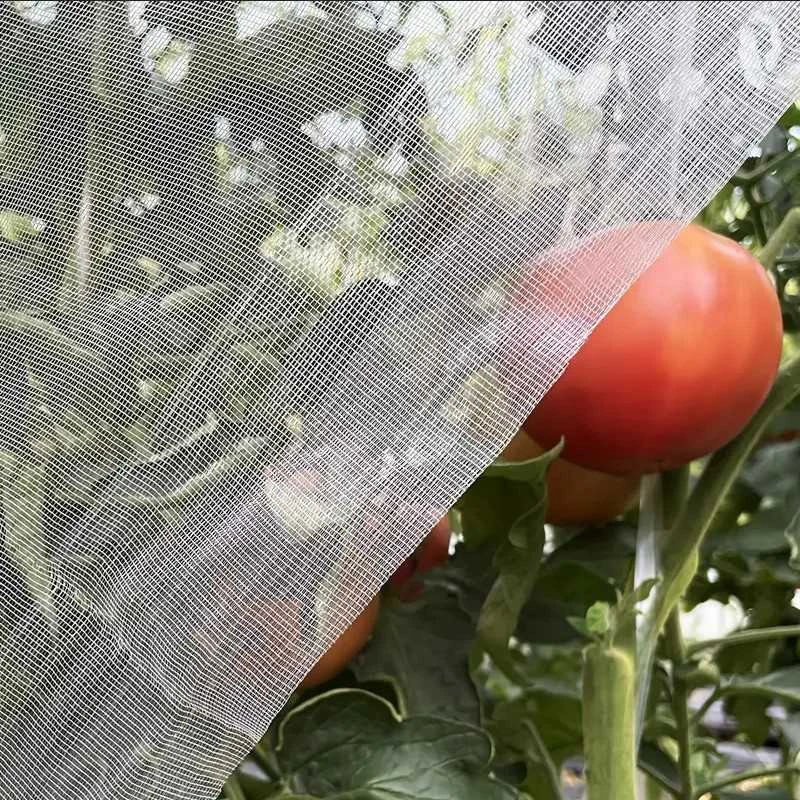 Apsauginis tinklelis nuo vabzdžių augalams, 2x50 m, 80mesh